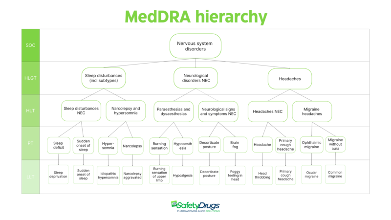 Medda Ladder MedDRA: what it is and why it is essential in pharmacovigilance